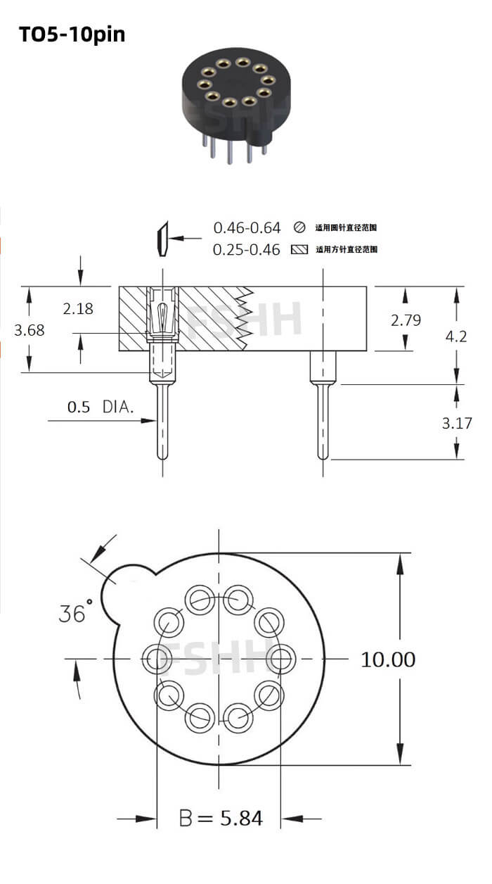 10P 2